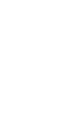 AR Icon Accent - White Left
