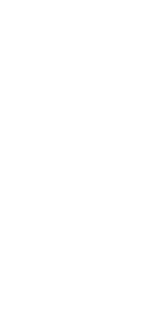 AR Icon Accent - White Right